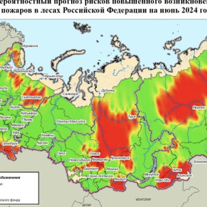 Владимирскую область включили в зеленую зону на карте лесных пожаров