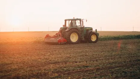 Владимирские фермы могут получить субсидию за восстановление брошенных полей