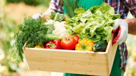 В Гусь-Хрустальном районе без зарплаты остались 60 сотрудников агропредприятия