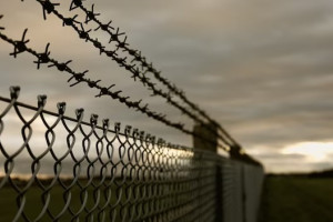 Во Владимирской области осудили мигранта за финансирование терроризма