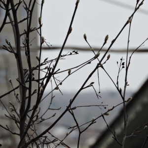 39 день Великого поста: что можно и нельзя 25 апреля 2024 года