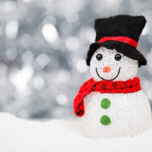 Дед Мороз-депутат и традиционная баня. Самые необычные поздравления с Новым годом