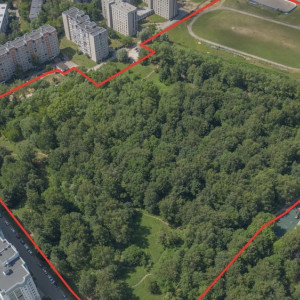 Козий парк во Владимире могут выставить на продажу