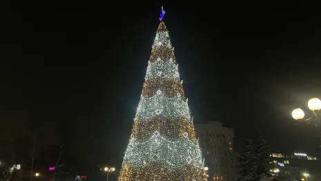 На площади Победы во Владимире зажгли новогоднюю елку