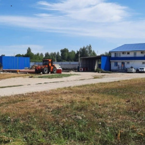 Реанимация свинокомплекса под Александровом принесет 500 рабочих мест