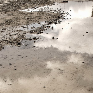 Владимирские чиновники попали под суд за разбитую дорогу на улице Производственной