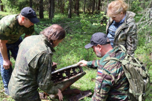 В Киржачском районе нашли остатки самолета времен Великой Отечественной войны