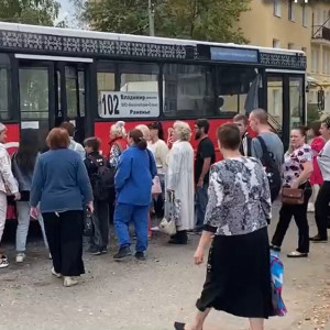 «Золотые автобусы». Жители суздальского поселка пожаловались на дорогой проезд