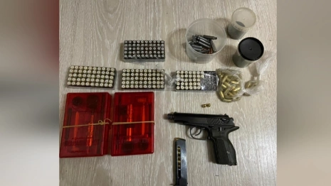 Двое жителей Владимирской области избежали реального срока за оборот оружия 