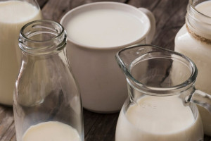 Во Владимирской области объемы молока впервые превысили 500 тысяч тонн