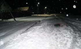 В Александрове мужчина застрелил незнакомца после онлайн-ссоры