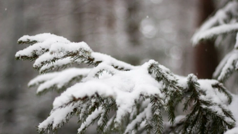 Прогноз погоды во Владимире и области на 5 марта