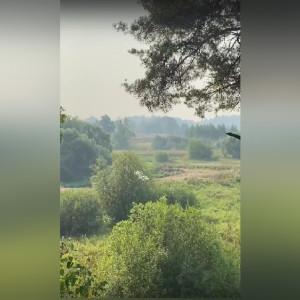 Гарь и смог от пожаров добрались до еще одного крупного города во Владимирской области