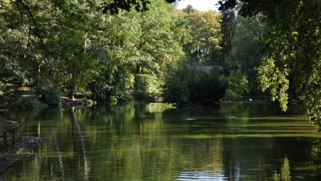 Благоустройство парка у ДТЮ во Владимире завершат в 2025 году