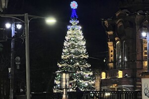 Во Владимире зажгли главную новогоднюю елку