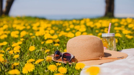 Прогноз погоды во Владимирской области на 6 июля 2025 года