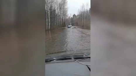 Затопленную трассу от Покрова до Киржача показали на видео