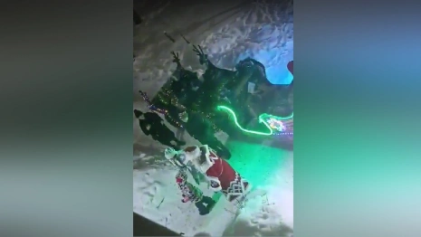 Музыкальные сани, салюты и лай собак. Как жители Владимирской области встретили Новый год 