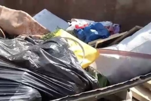 В селе под Киржачом спустя несколько месяцев ликвидировали огромную свалку