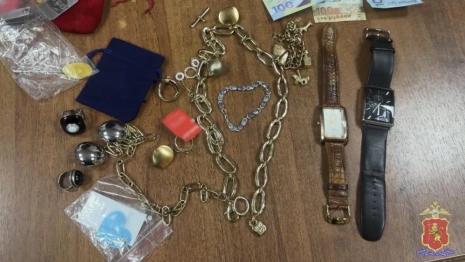 Во Владимире уроженец Красноярска обокрал частные дома на 1,5 млн рублей