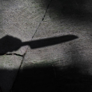 Житель Владимирской области убил мать