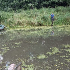 На реке Мотра в Селивановском районе утонул 66-летний мужчина