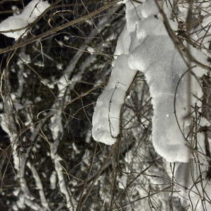 Прогноз погоды на 23.02.2025 во Владимире и области