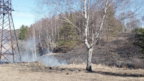 Во Владимирской области могут ввести особый противопожарный режим