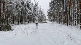 «Фрэнсис» оставил без света 32 населенных пункта Владимирской области