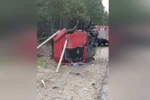 На трассе под Муромом столкнулись две фуры