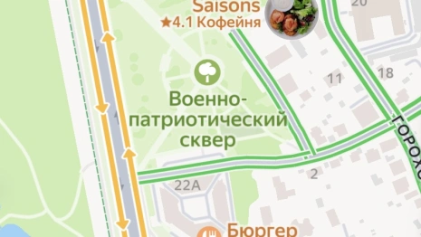 Сквер «Патриот» во Владимире закроют 11 июля ради обработки от клещей