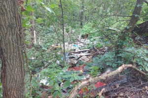 В Петушинском районе ликвидировали свалку 