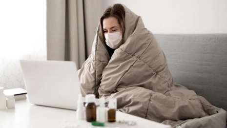 Из Владимирской области ушел свиной грипп