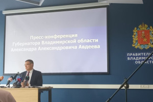 Владимирские власти назвали строительство дороги у ДТЮ приоритетным