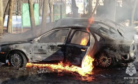 Во Владимире пожар в центральном парке уничтожил две машины