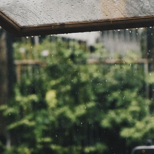 Ливни накроют Владимирскую область в выходные