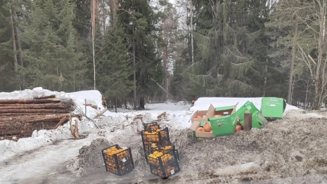 Во Владимирской области на трассе оставили ящики с апельсинами и помело