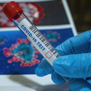 1 724 владимирца за сутки заразились коронавирусом  