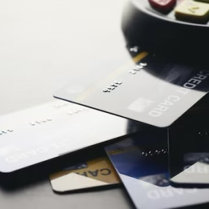 Единую карту жителя Владимирской области разработают к 2025 году