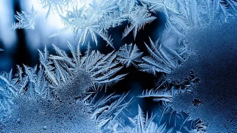 Во Владимирской области на неделе придут морозы до -25
