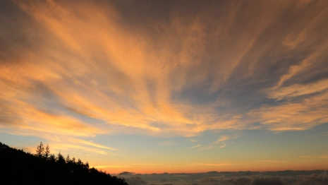 Прогноз погоды во Владимирской области на 22 июля
