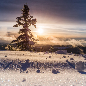 Во Владимирскую область придут аномальные морозы до -30