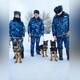 Владимирские кинологи приняли на службу трех щенков из питомника в Подмосковье