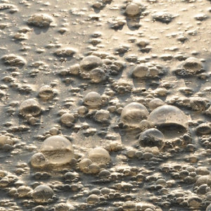 Во Владимирской области сточные воды растеклись по деревенским участкам 