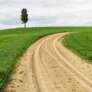 Прокуратура Владимирской области потребовала обустроить сельские дороги