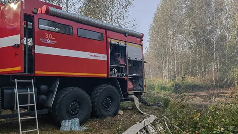 Владимирские спасатели потушили пожар у озера Гусинка