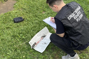 Жителя Камешковского района арестовали за убийство матери