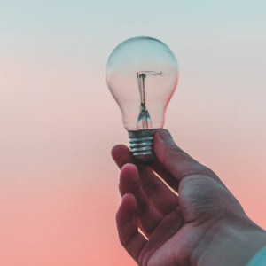 Во Владимире 8 садовых товариществ рискуют остаться без света за долги