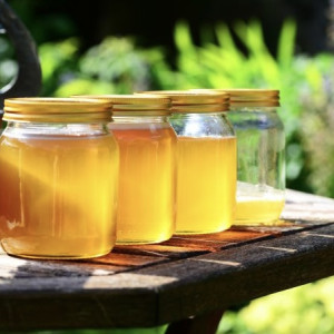 Во Владимирской области нашли 340 кг некачественного меда