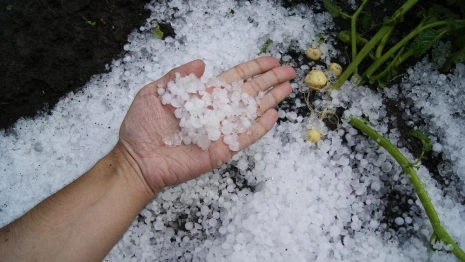 На Владимирскую область надвигаются грозы и град